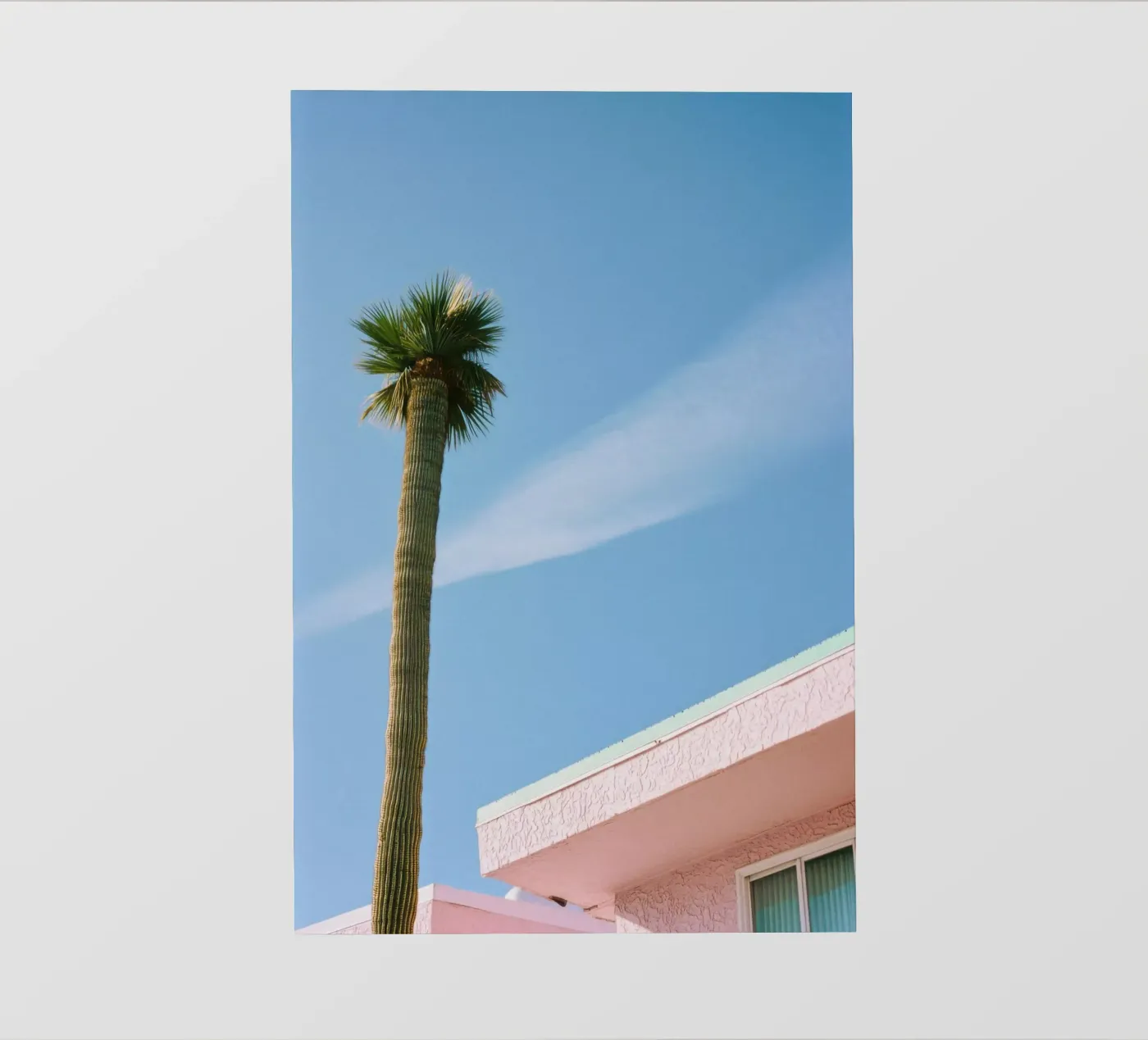14 backlit film by Pink California | Affiches & Posters