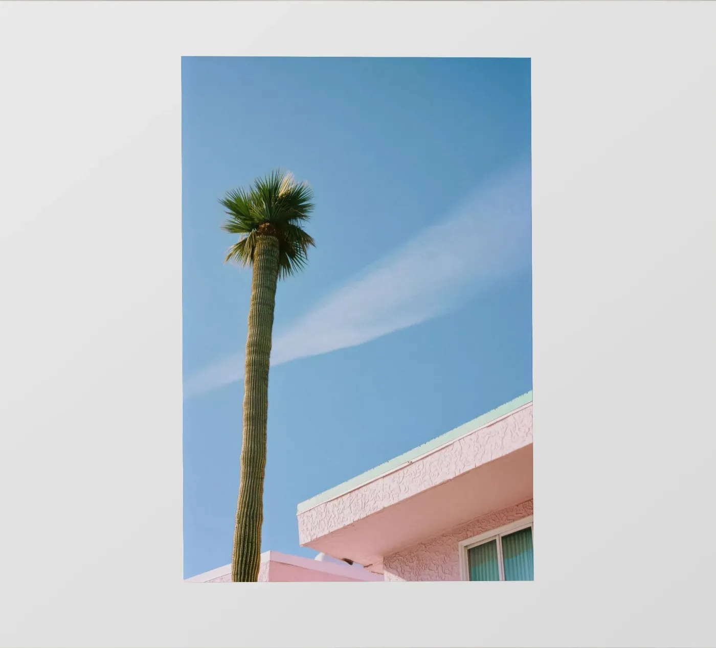 14 fotobehang van Pink California | Affiches & Posters