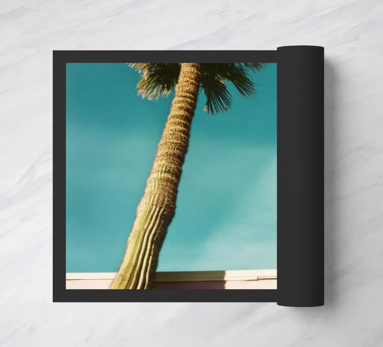 15 zerbino da Pink California | Affiches & Posters