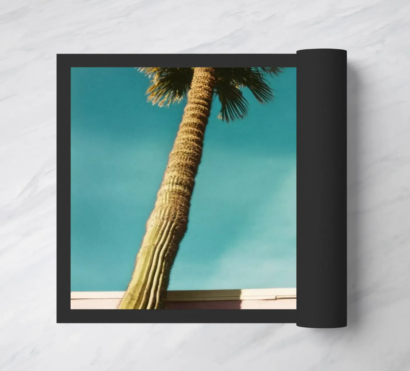 15 zerbino da Pink California | Affiches & Posters