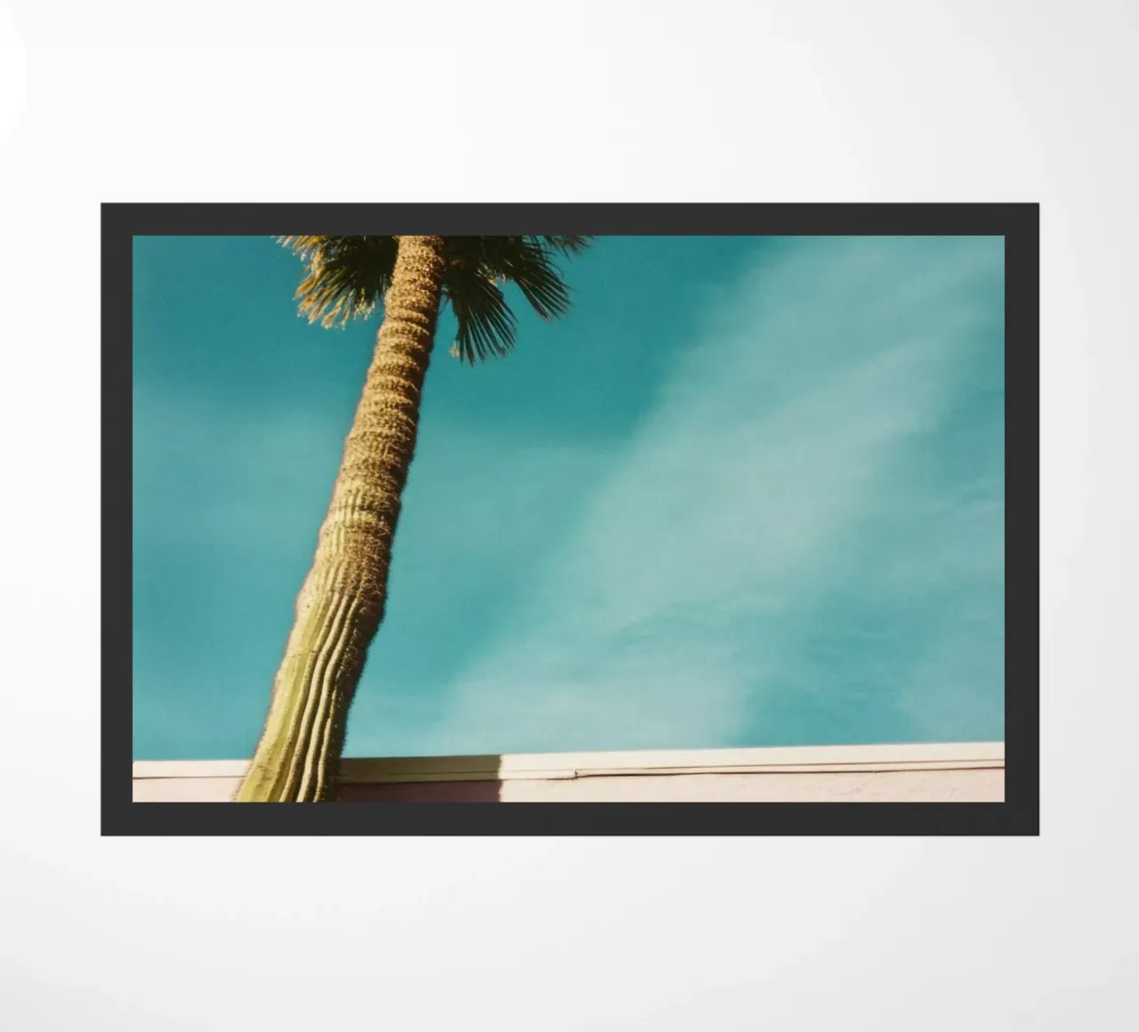 15 zerbino da Pink California | Affiches & Posters