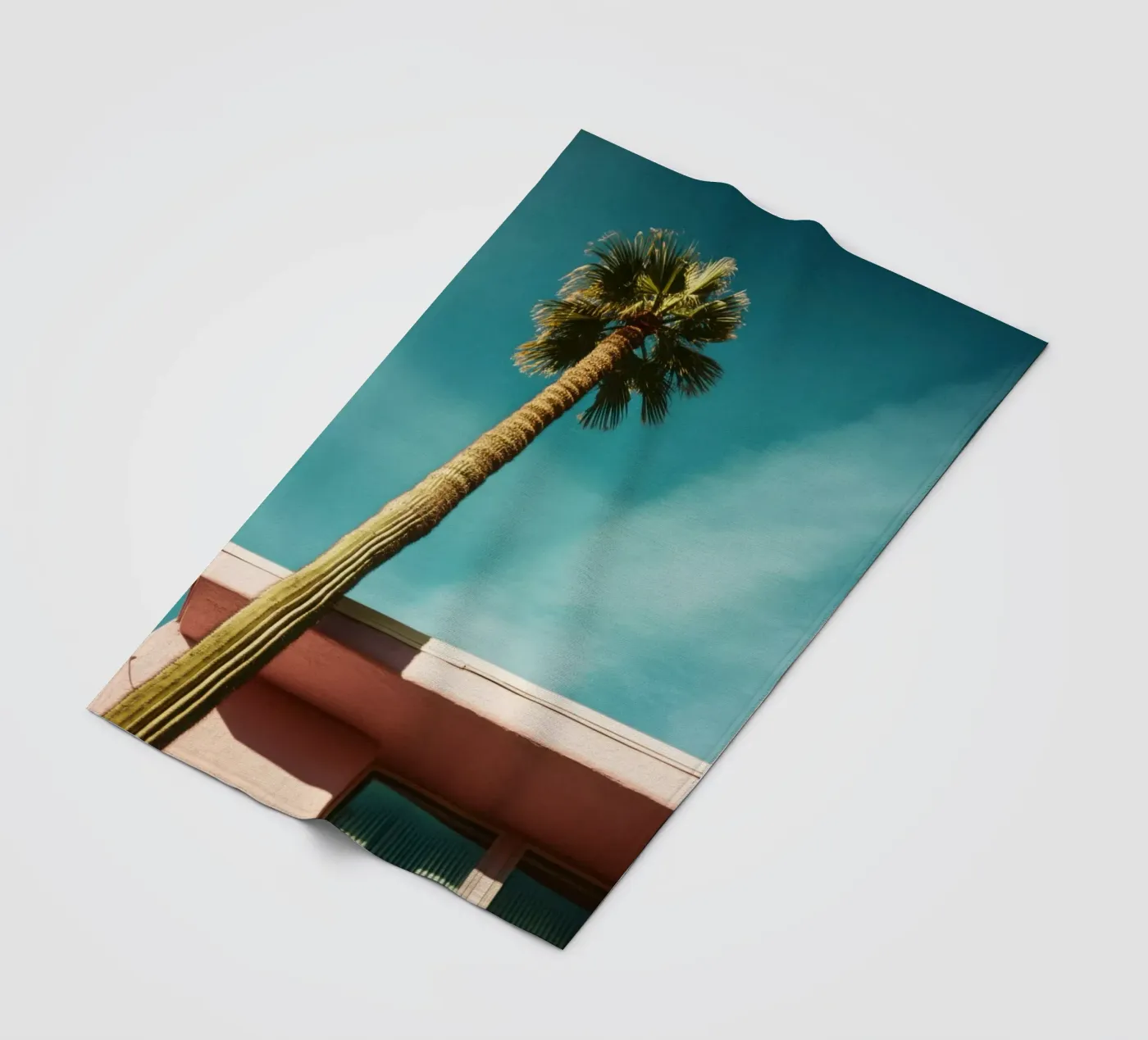 15 fleecedeken van Pink California | Affiches & Posters