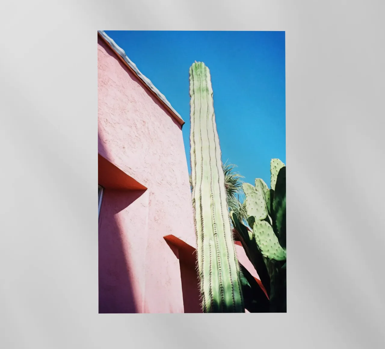 16 pellicola backlit da Pink California | Affiches & Posters
