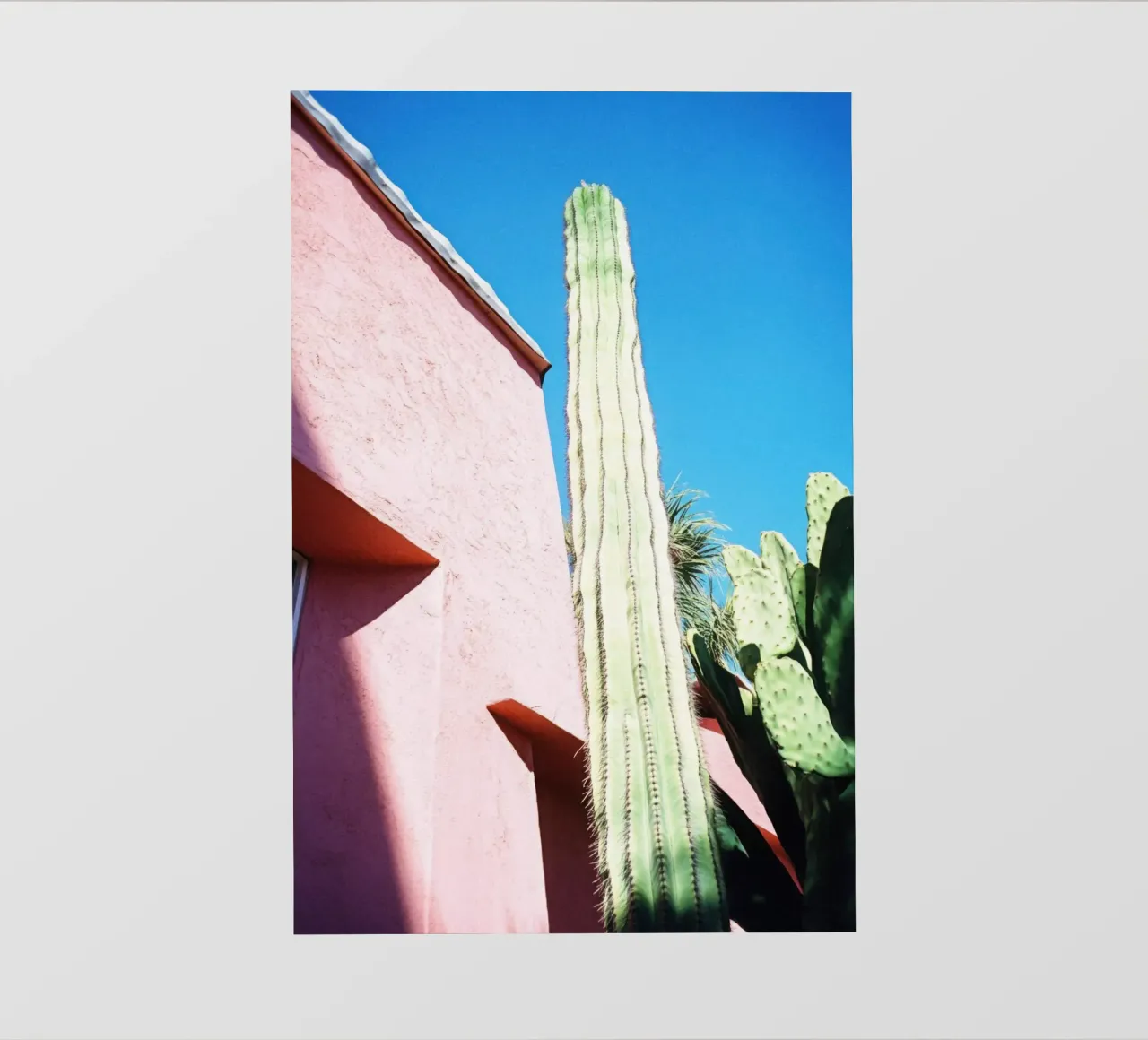 16 fotobehang van Pink California | Affiches & Posters