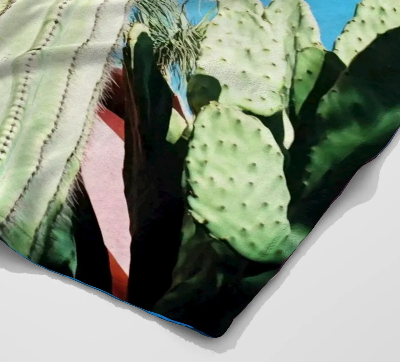 16 fleecedeken van Pink California | Affiches & Posters