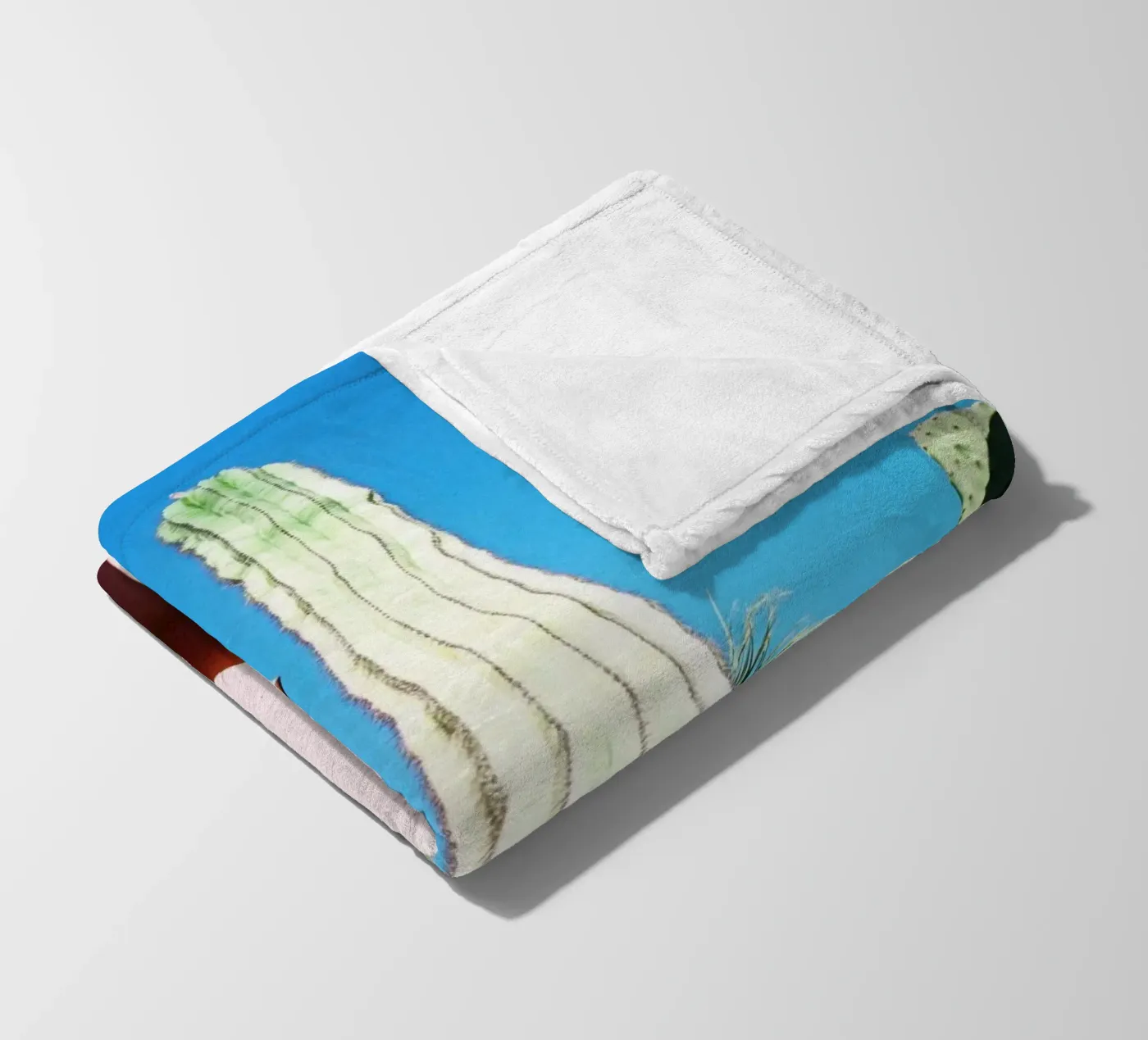 16 fleecedeken van Pink California | Affiches & Posters