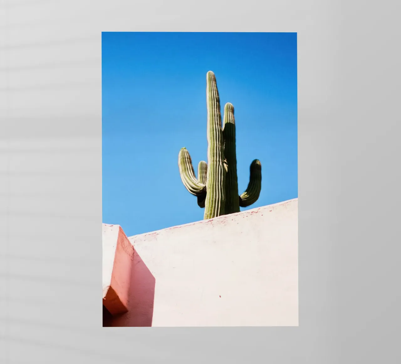 17 pellicola backlit da Pink California | Affiches & Posters