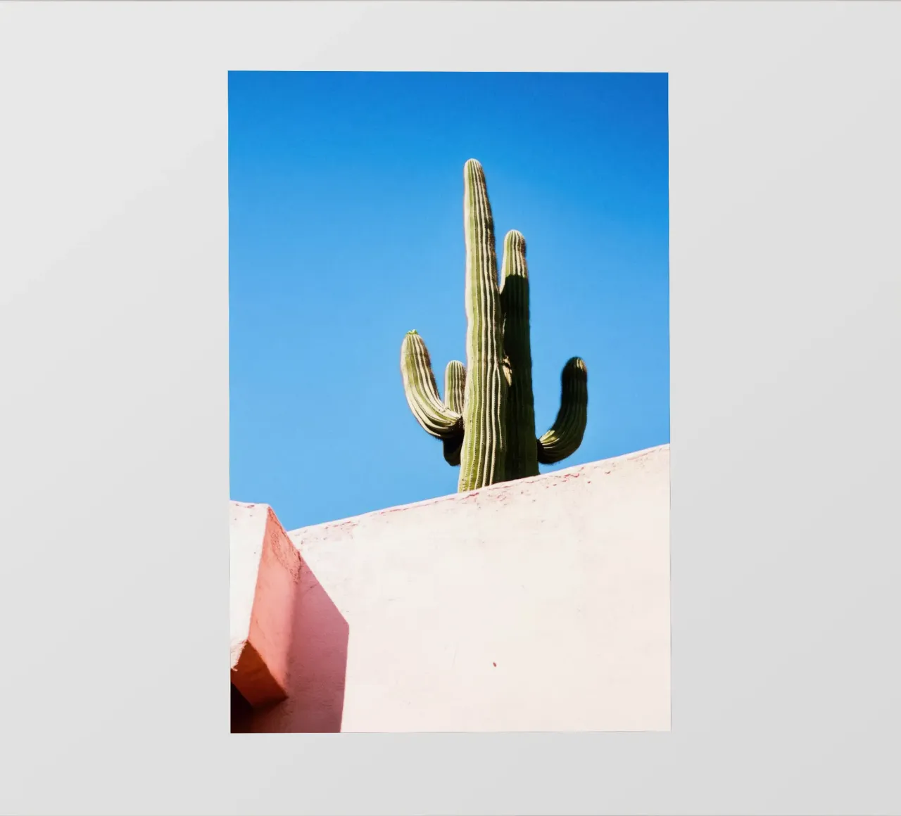 17 telo in pvc da Pink California | Affiches & Posters