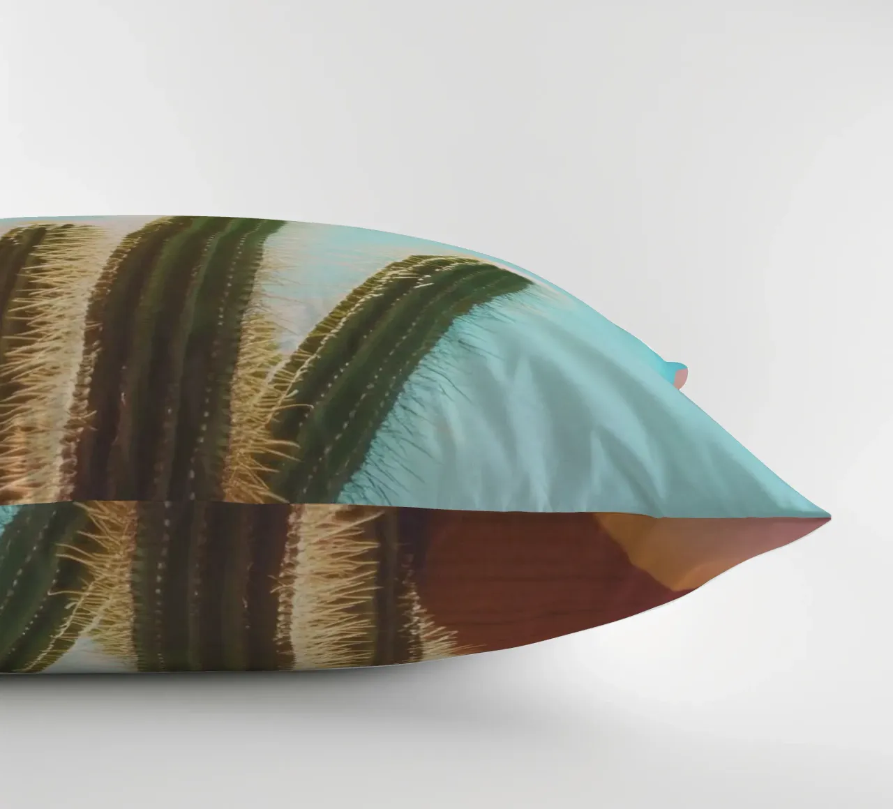 18 cuscino da Pink California | Affiches & Posters