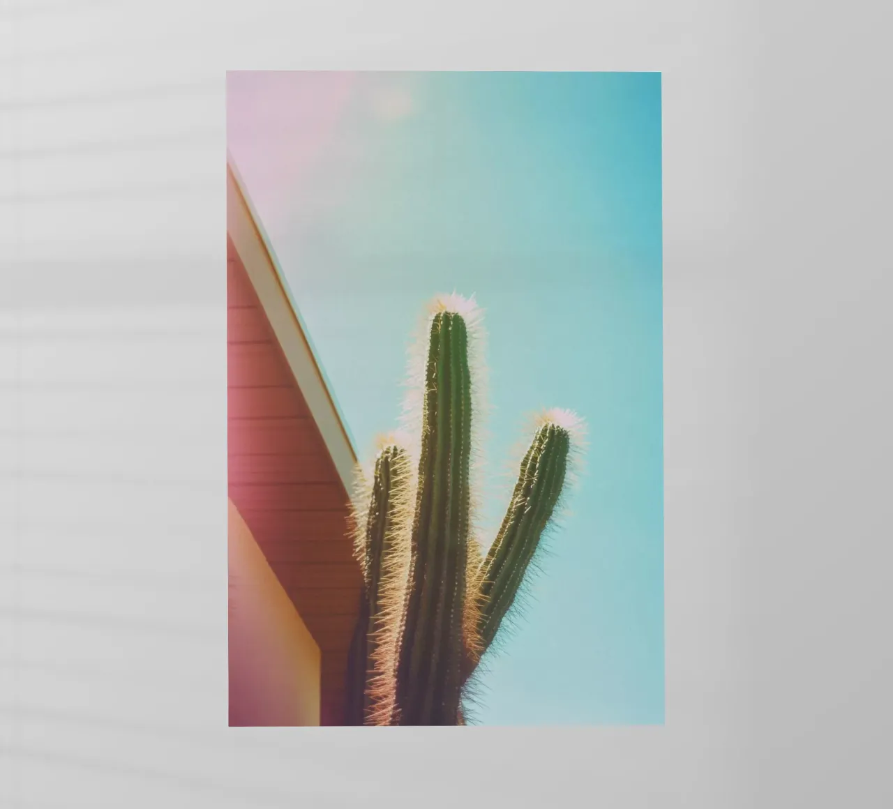 18 pellicola backlit da Pink California | Affiches & Posters