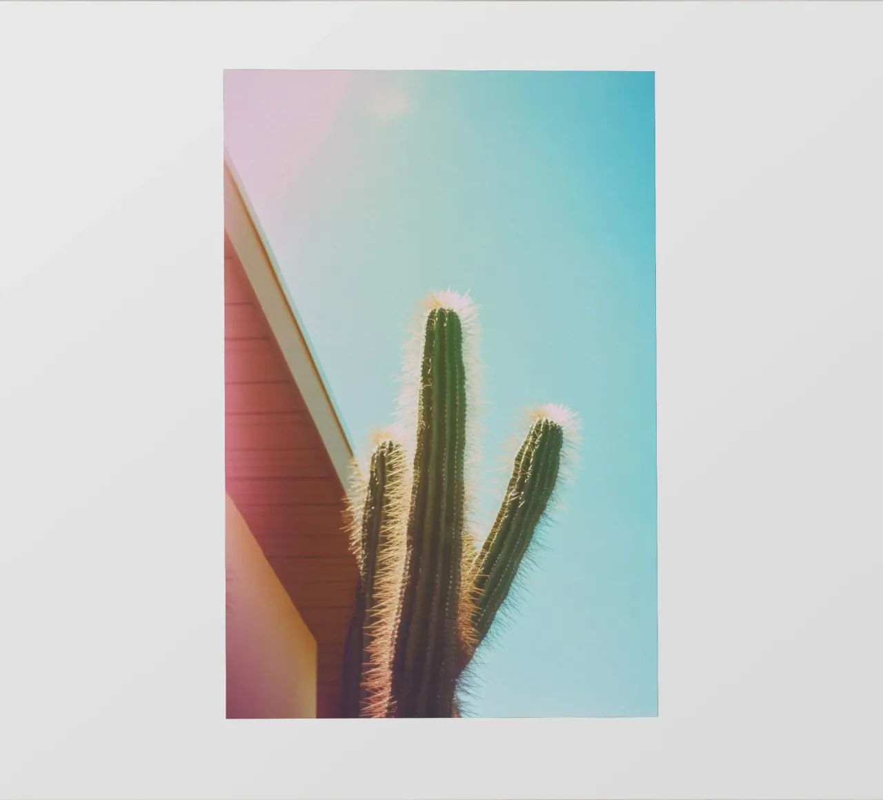 18 telo in pvc da Pink California | Affiches & Posters