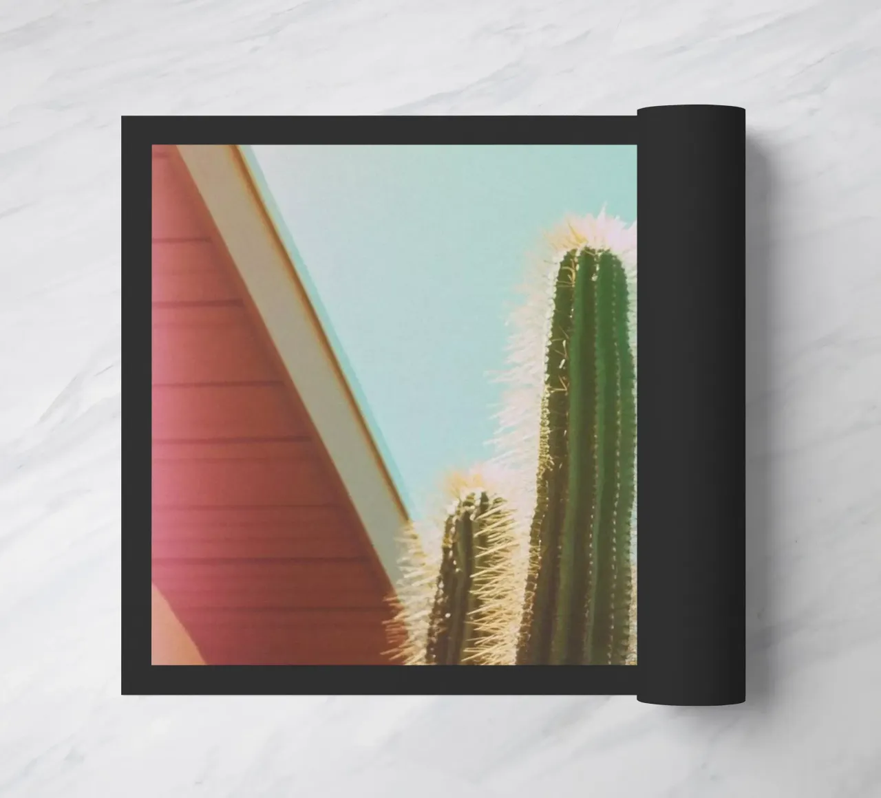 18 zerbino da Pink California | Affiches & Posters