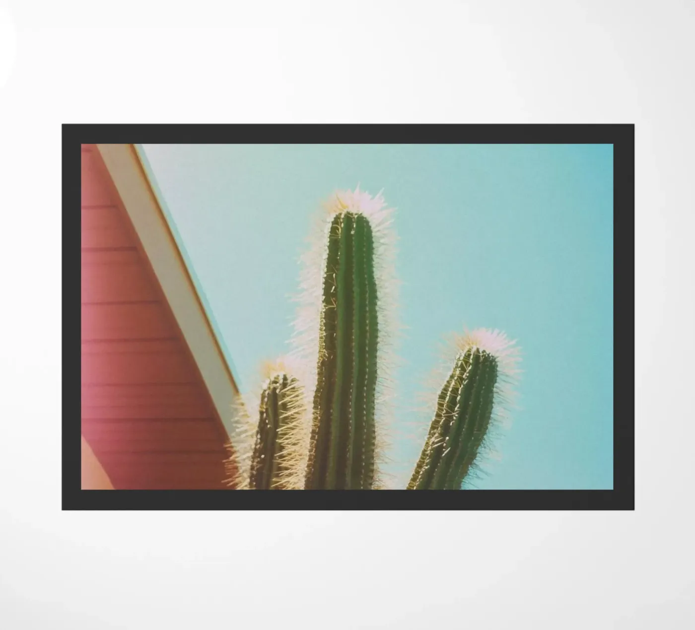 18 zerbino da Pink California | Affiches & Posters