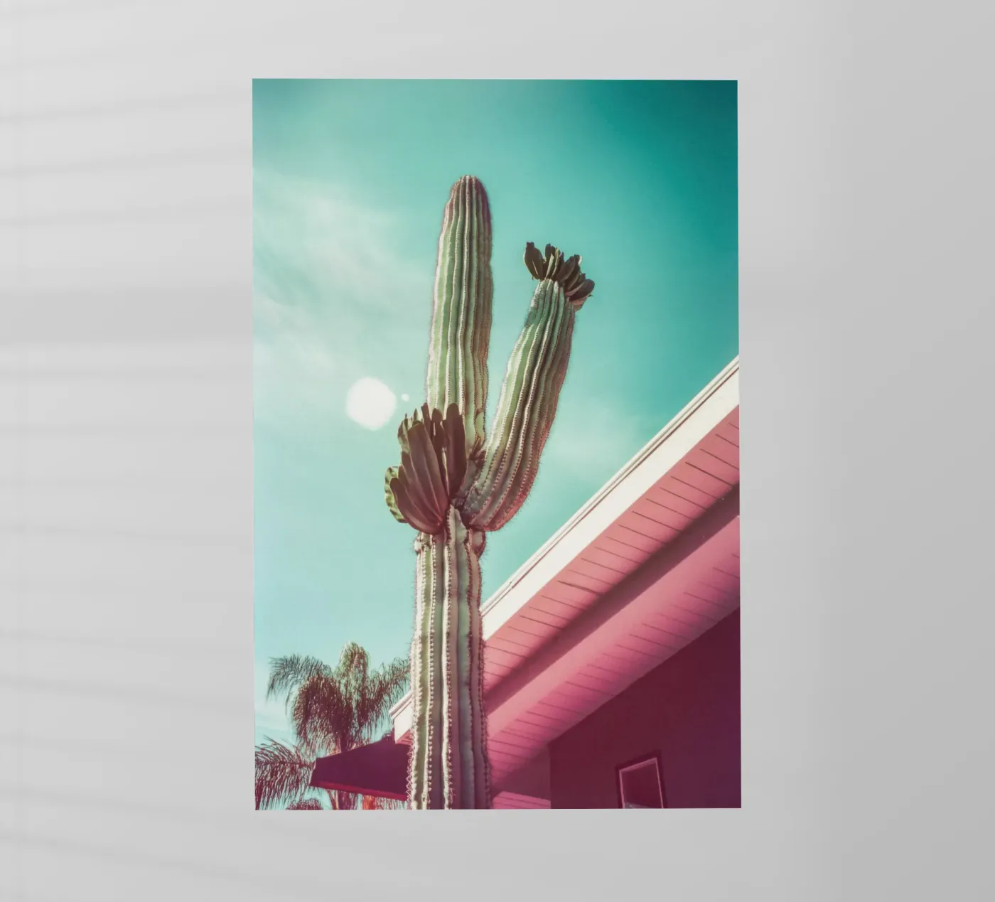 19 pellicola backlit da Pink California | Affiches & Posters