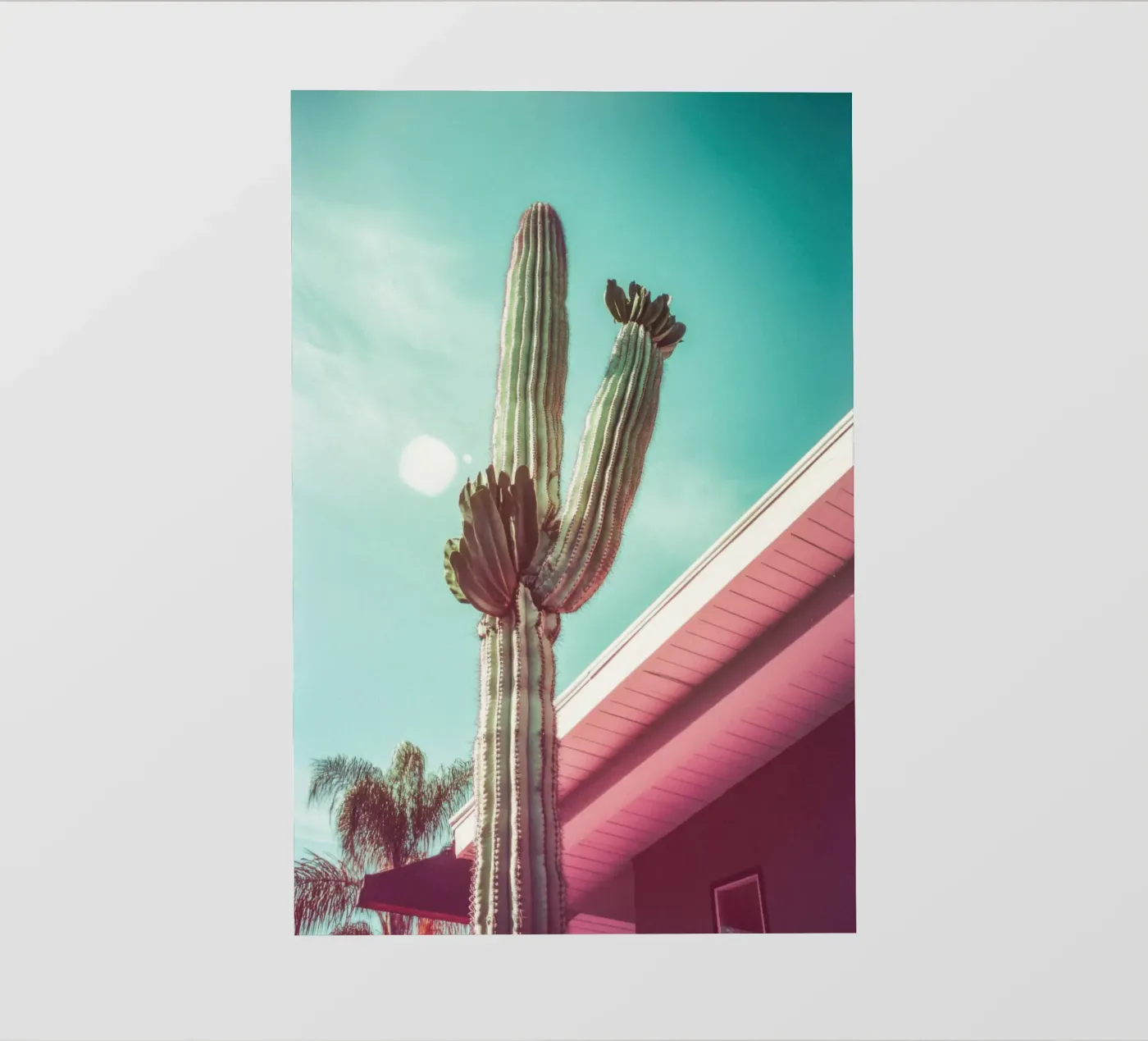 19 backlit folie van Pink California | Affiches & Posters