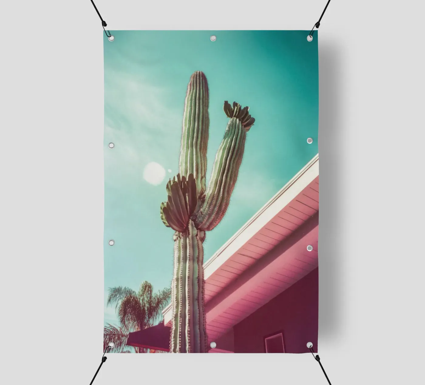 19 pvc cover by Pink California | Affiches & Posters