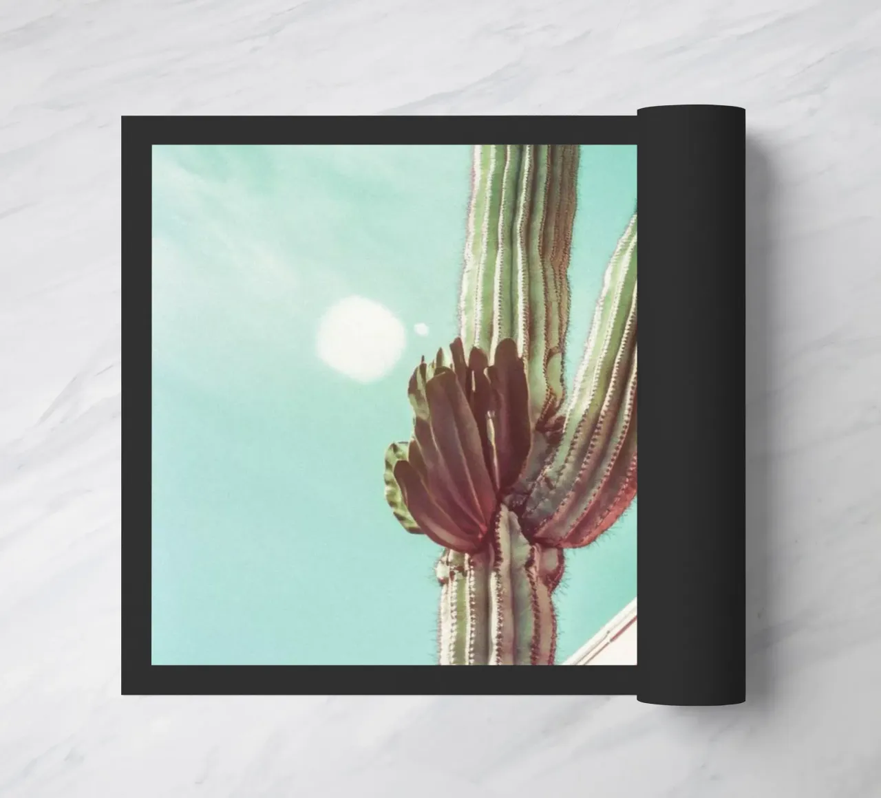 19 zerbino da Pink California | Affiches & Posters