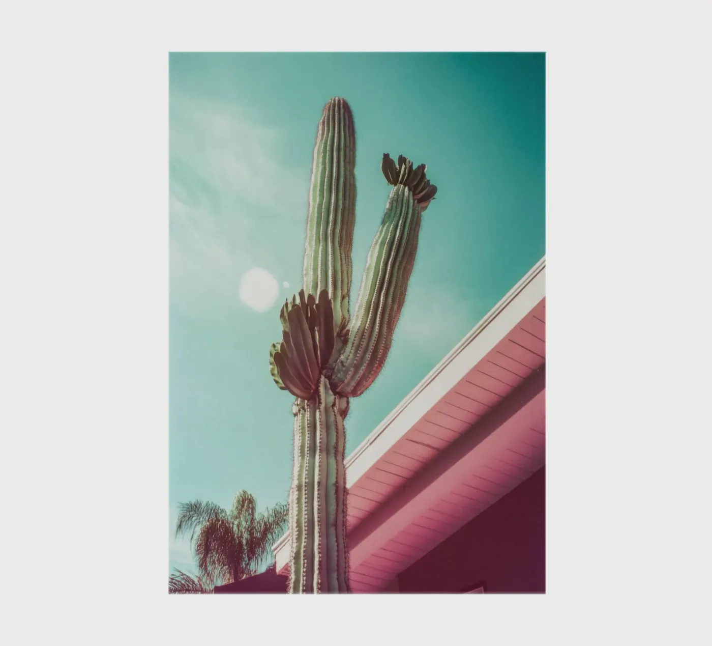 19 notebook by Pink California | Affiches & Posters