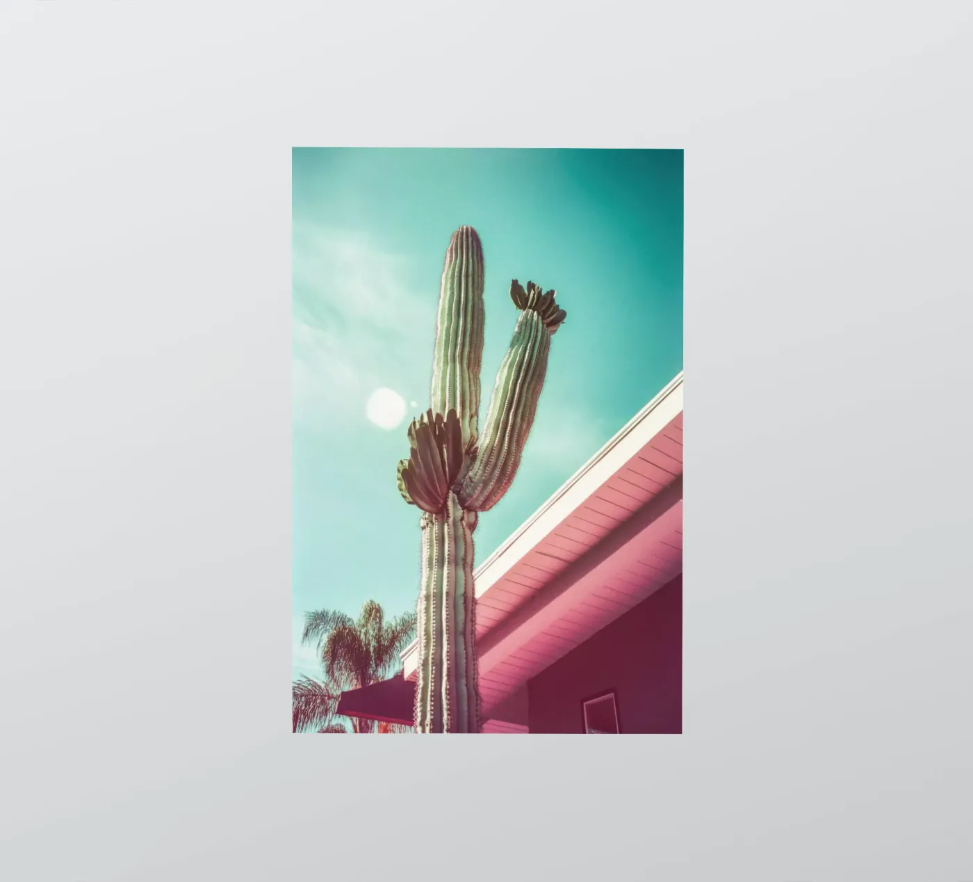 19 sticker van Pink California | Affiches & Posters