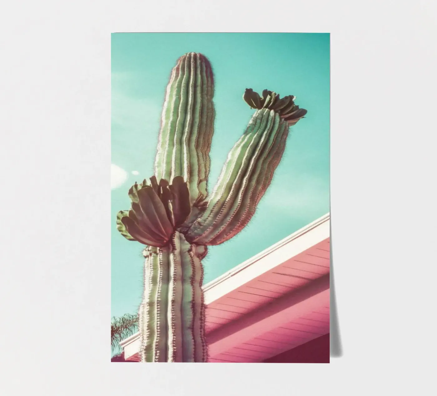 19 stickervel van Pink California | Affiches & Posters