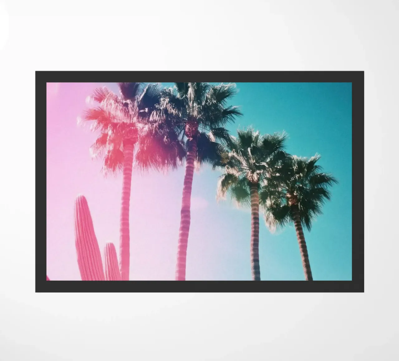 21 zerbino da Pink California | Affiches & Posters