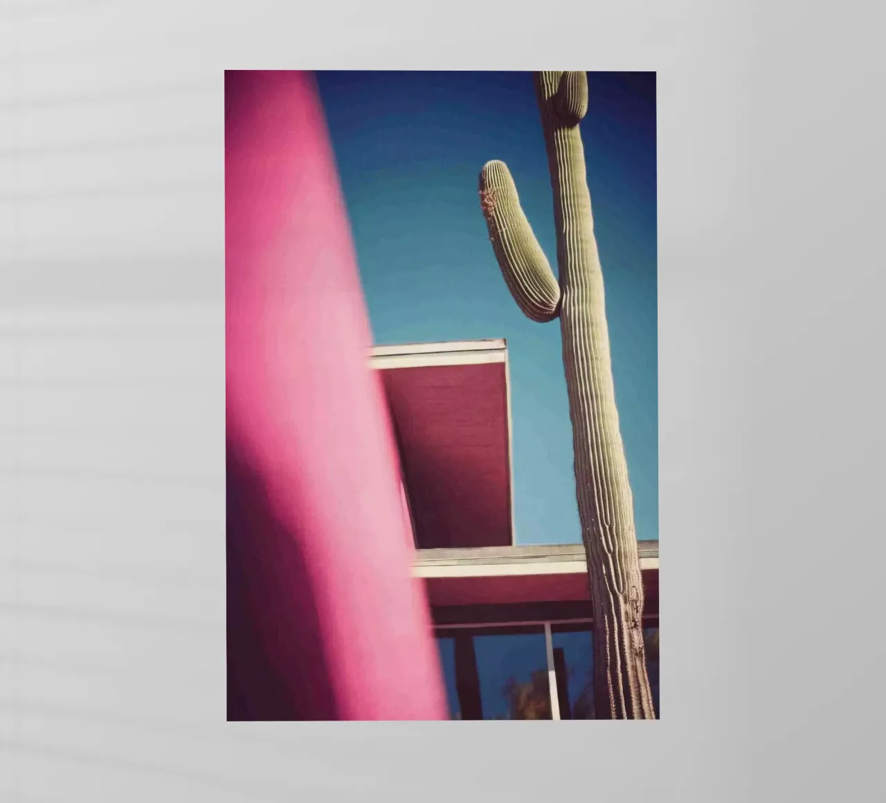 22 pellicola backlit da Pink California | Affiches & Posters