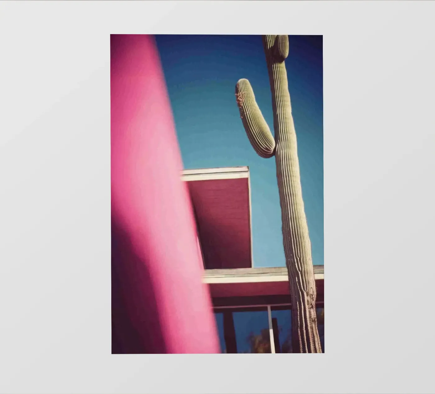 22 fotobehang van Pink California | Affiches & Posters