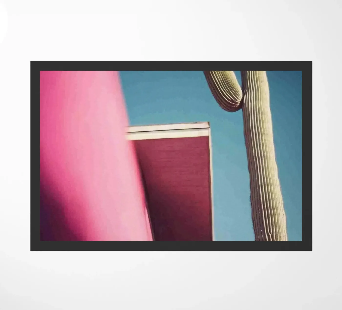 22 zerbino da Pink California | Affiches & Posters