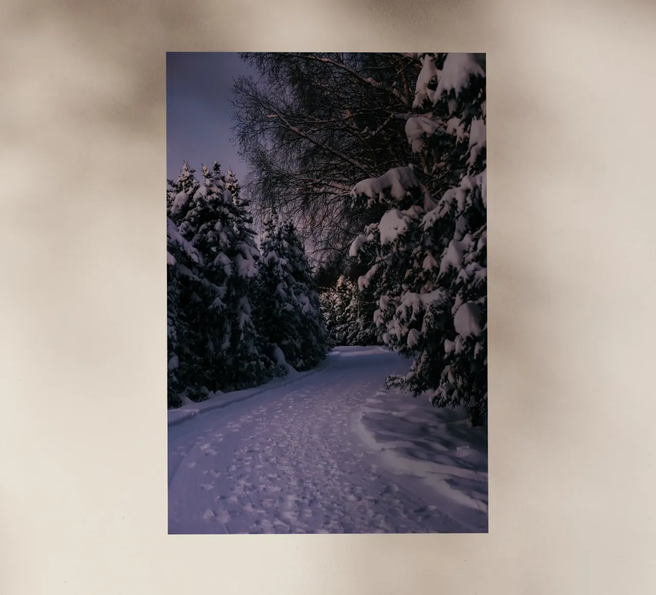 Snowy Path pellicola backlit da wowhannahphotos