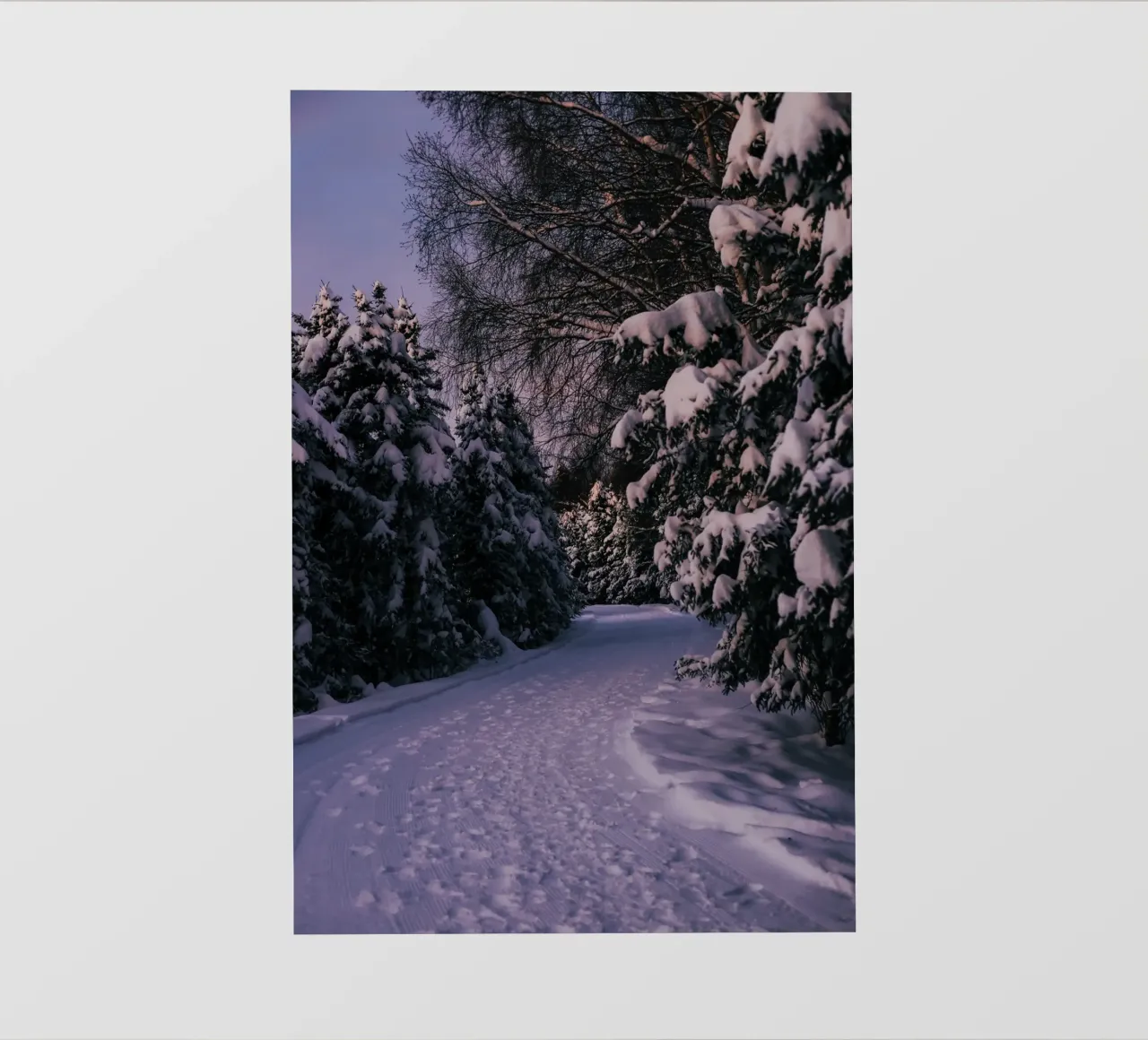 Snowy Path pellicola backlit da wowhannahphotos