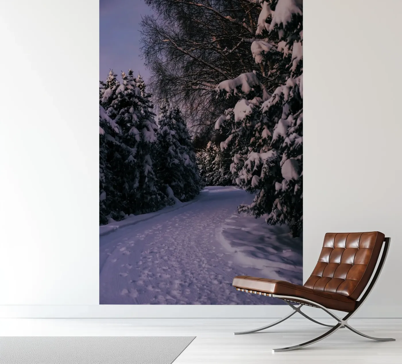 Snowy Path Fototapete von wowhannahphotos