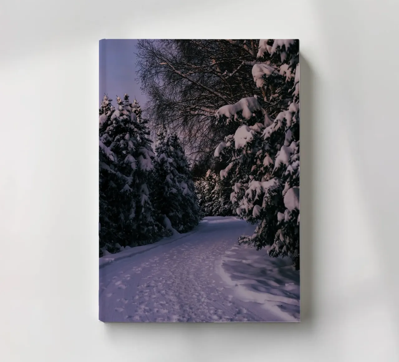 Snowy Path notebook by wowhannahphotos