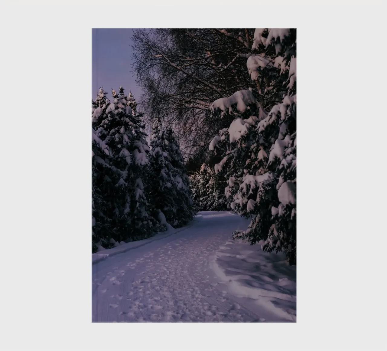 Snowy Path notebook by wowhannahphotos