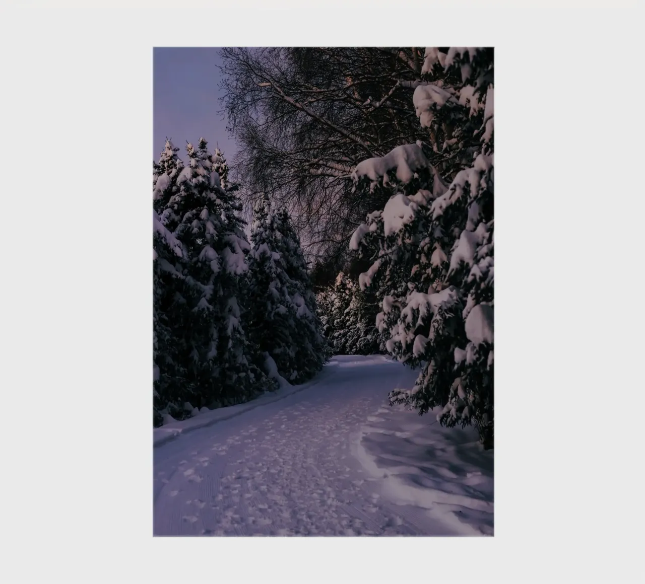 Snowy Path notebook by wowhannahphotos