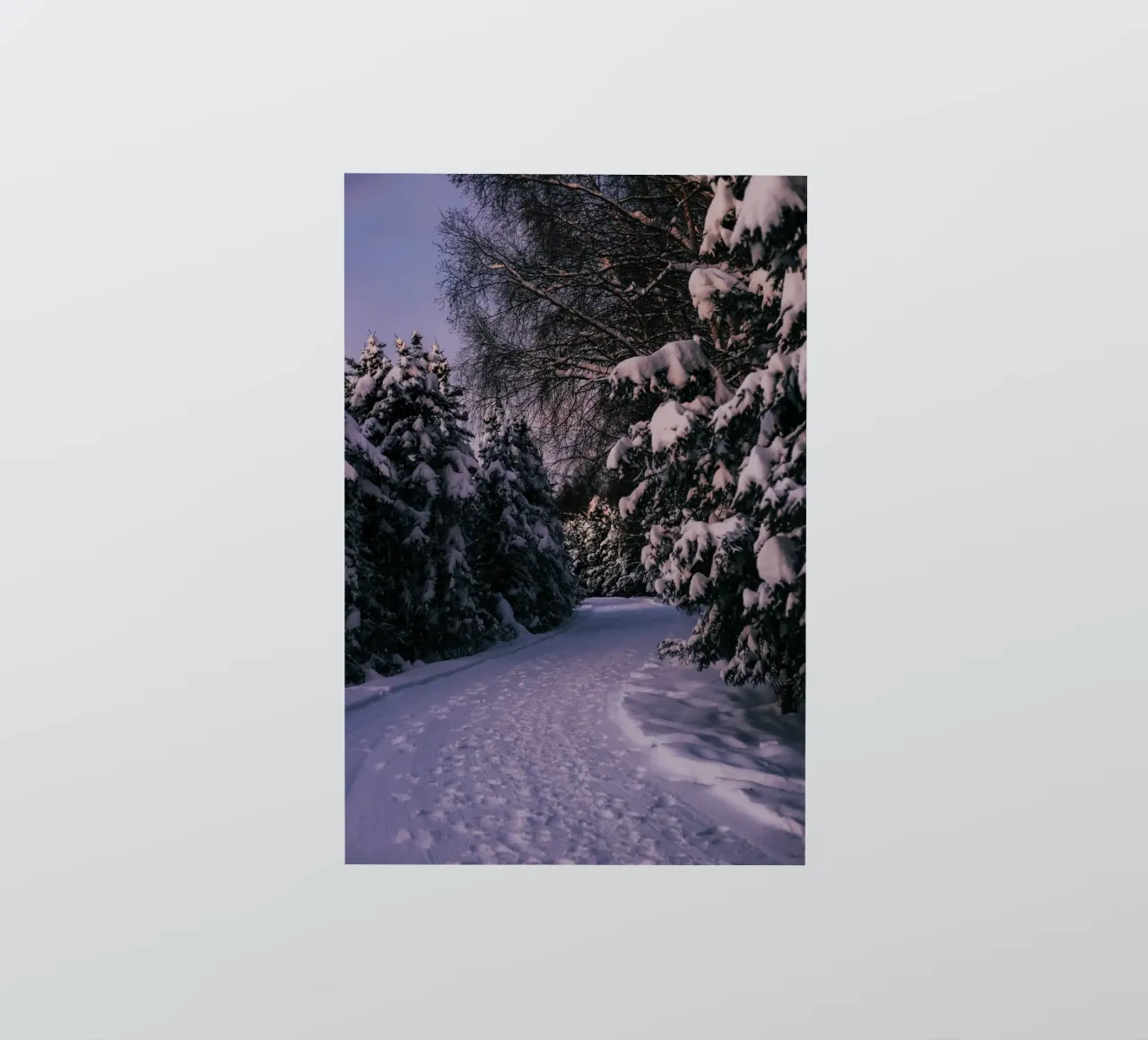 Snowy Path Sticker von wowhannahphotos