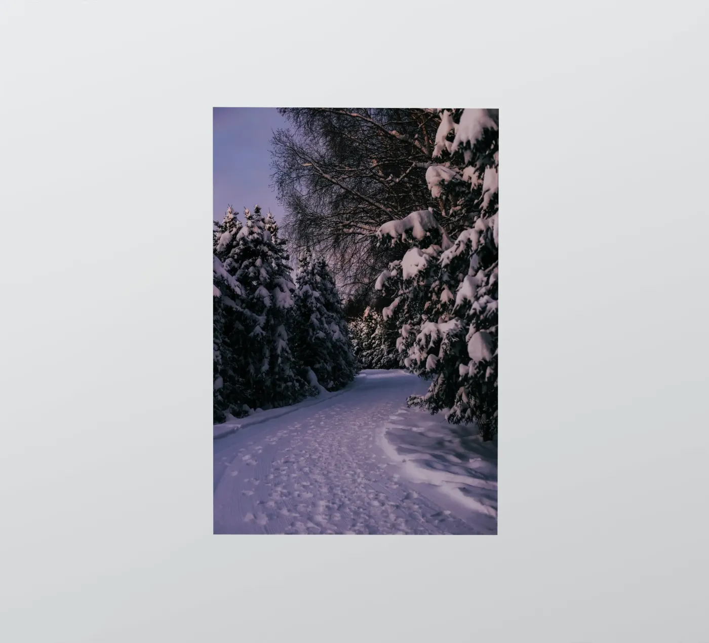 Snowy Path autocollant de wowhannahphotos