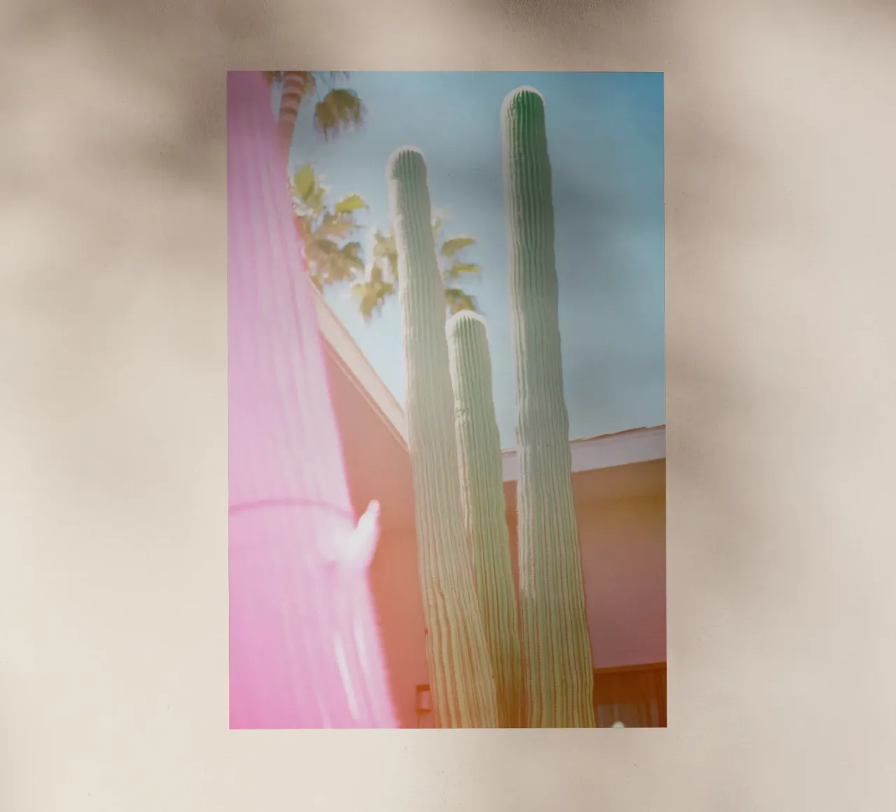 23 pellicola backlit da Pink California | Affiches & Posters