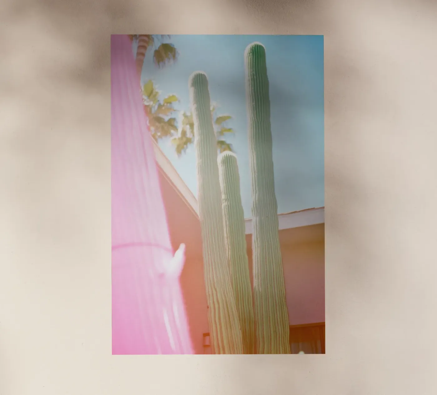 23 pellicola backlit da Pink California | Affiches & Posters