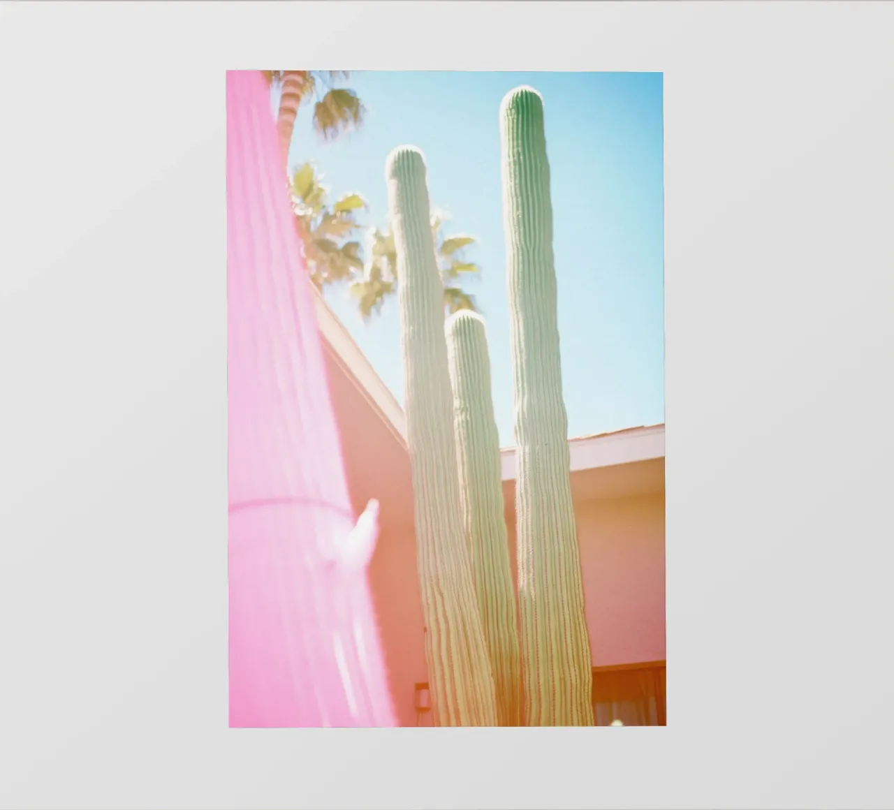 23 fotobehang van Pink California | Affiches & Posters