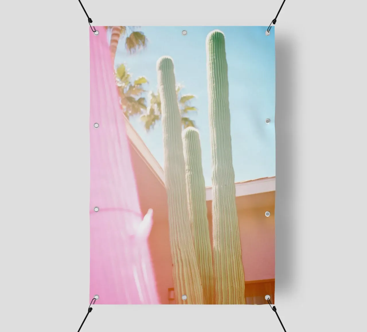 23 telo in pvc da Pink California | Affiches & Posters