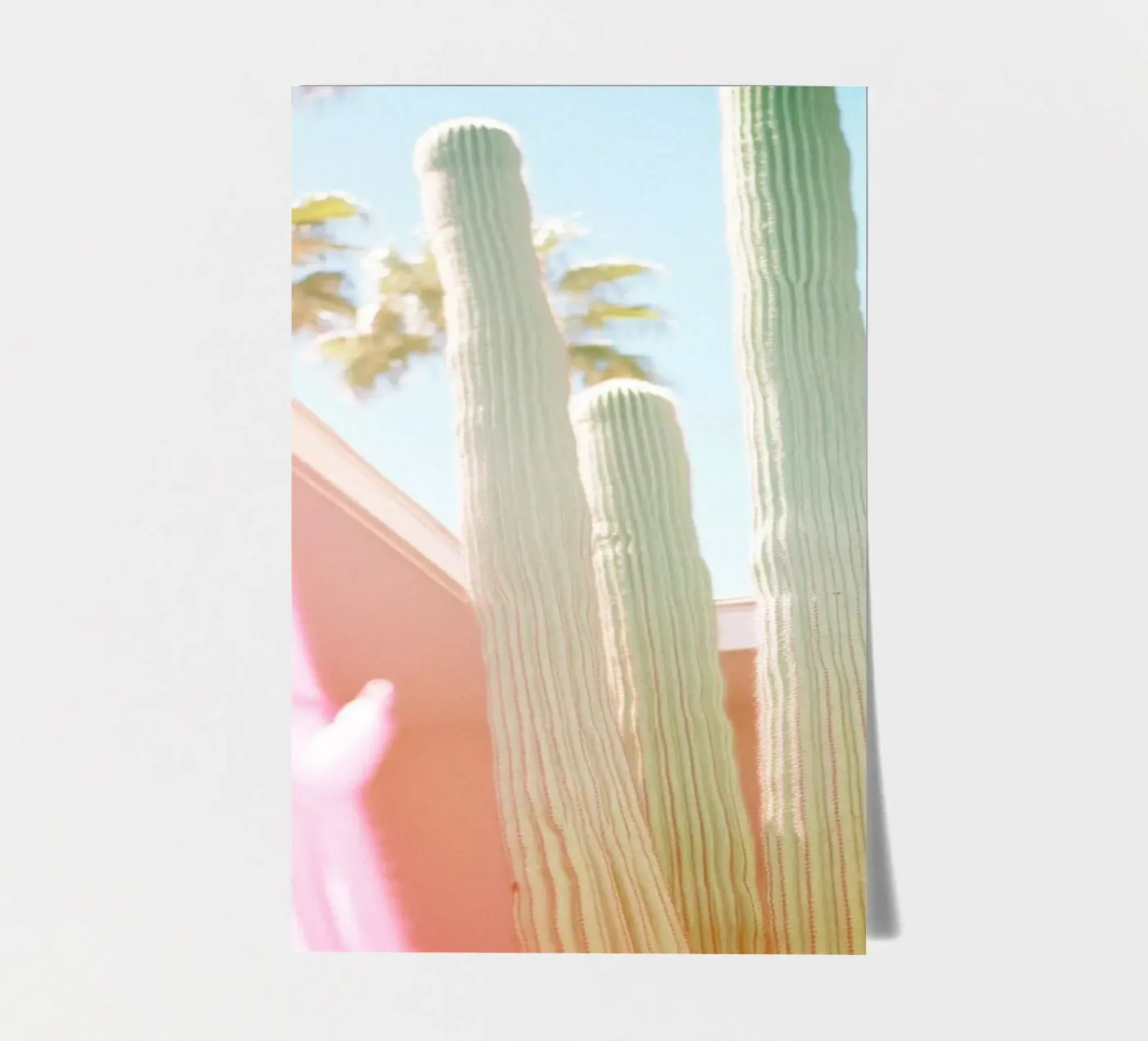 23 stickervel van Pink California | Affiches & Posters