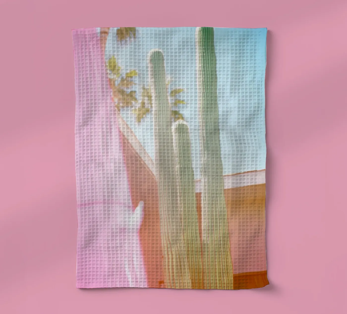 23 torchon de Pink California | Affiches & Posters