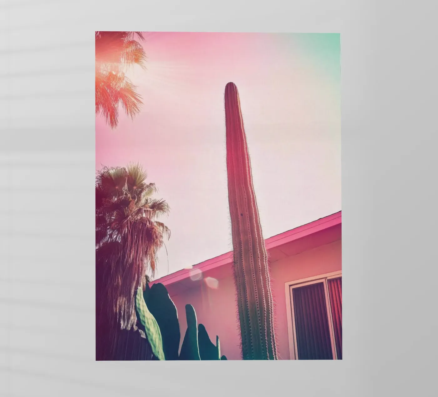 24 backlit folie van Pink California | Affiches & Posters