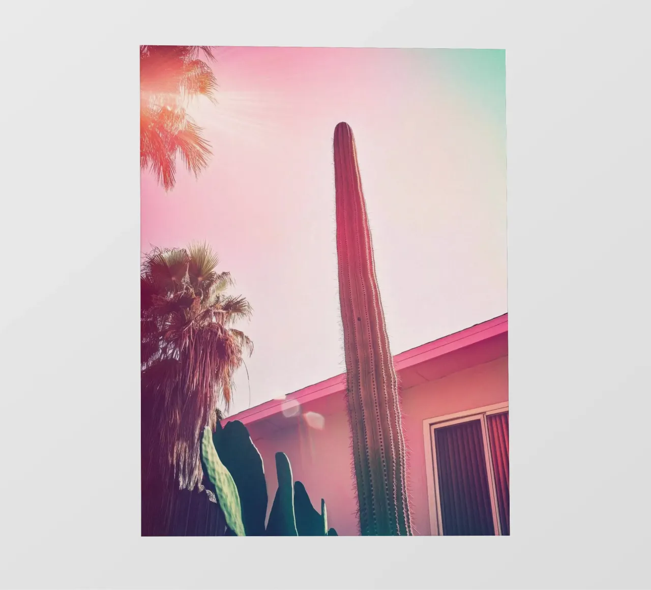 24 fotobehang van Pink California | Affiches & Posters