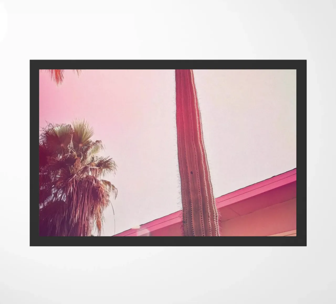 24 zerbino da Pink California | Affiches & Posters