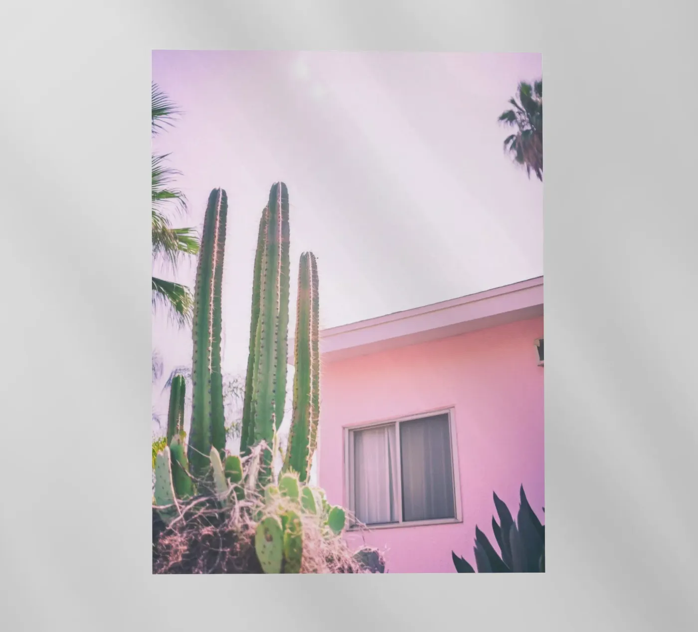 25 backlit folie van Pink California | Affiches & Posters
