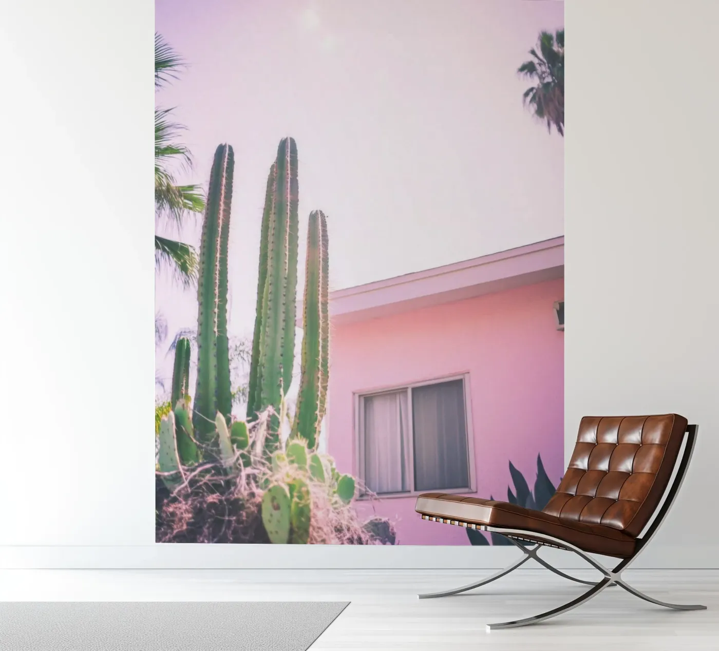 25 fotobehang van Pink California | Affiches & Posters
