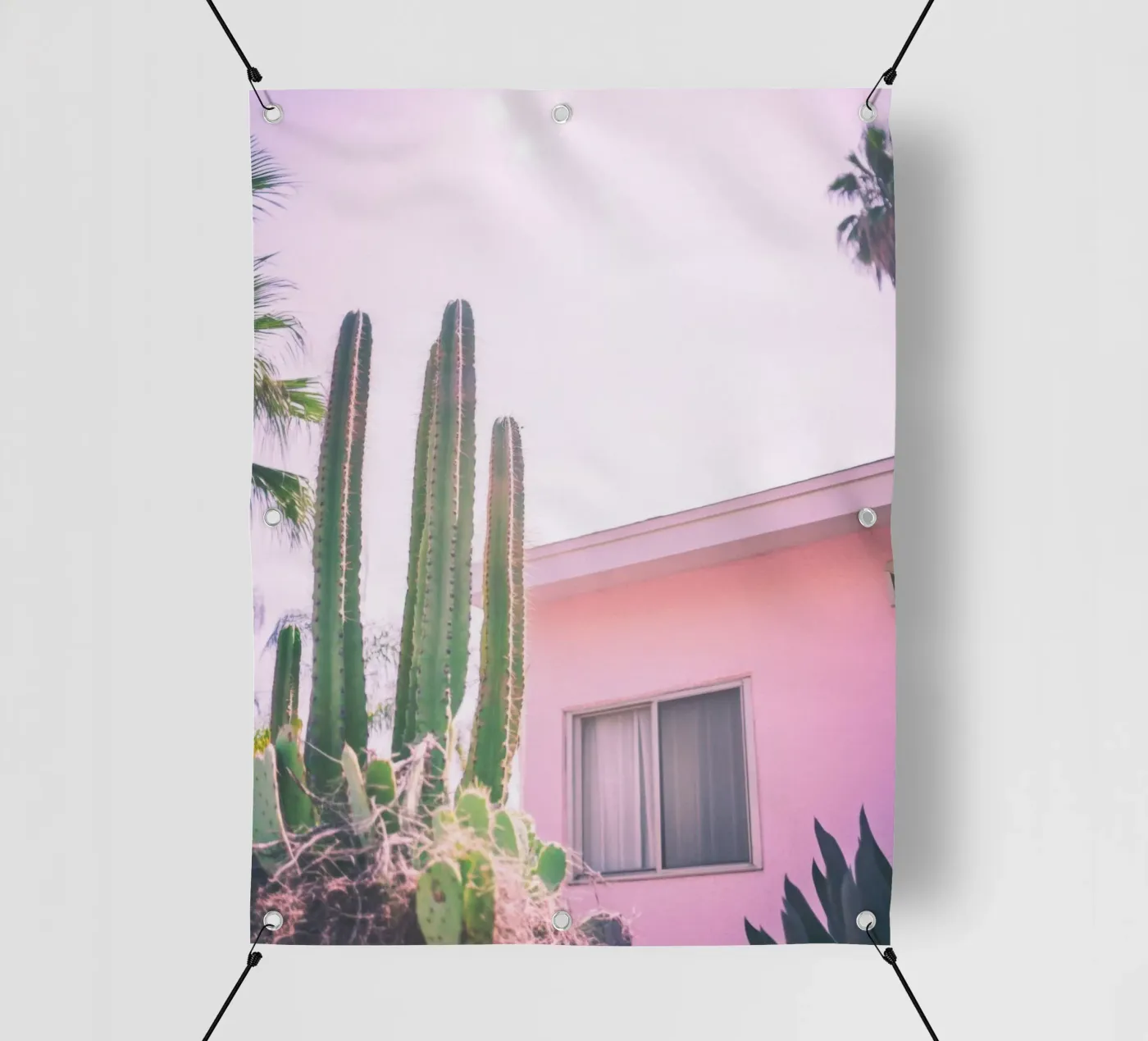 25 PVC Plane von Pink California | Affiches & Posters