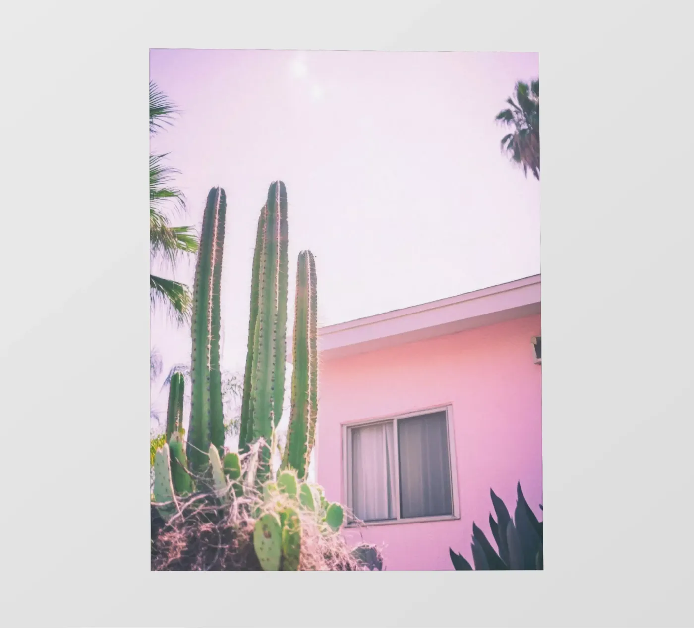 25 telo in pvc da Pink California | Affiches & Posters