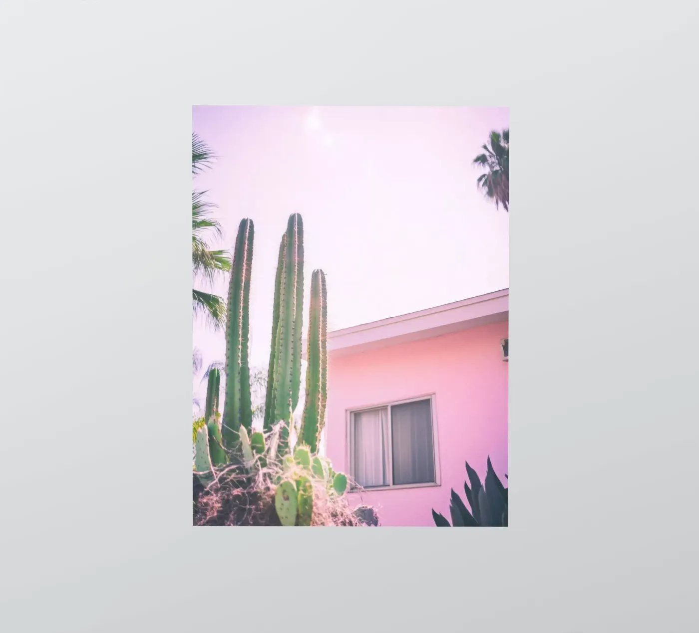 25 adesivo da Pink California | Affiches & Posters